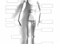ESOL resources - parts of the body