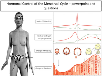 Hormonal Control of the Menstrual Cycle - powerpoint and questions