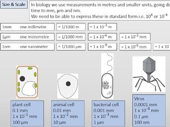 AQA GCSE Biology: Cells; size, scale & microscopy