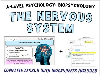 A-Level Psychology - THE NERVOUS SYSTEM [Biopsychology Topic]