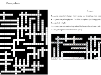 6. Photosynthesis Crossword: Text Documents and Interactive Webpages