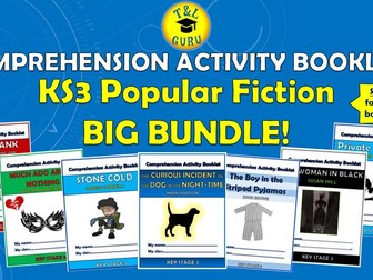 Popular Fiction KS3 Comprehension Activity Booklets Big Bundle!