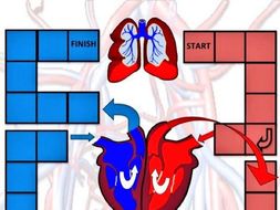 The Heart Board Game