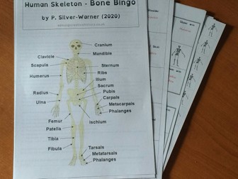 Bone Bingo (Solo or Group)