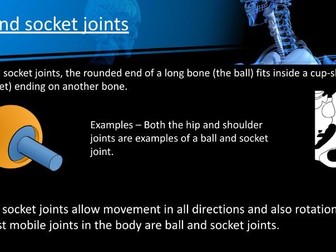 GCSE PE: Lesson 9: Joints and movement