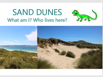 [KS1] An Introduction to Sand Dunes: Lesson with notes