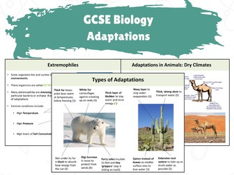 GCSE Biology - Adaptations