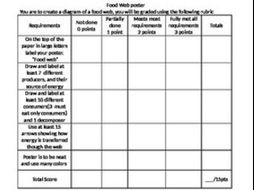Food web poster with rubric