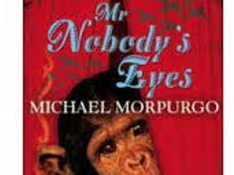 Mr Nobody's Eyes - Michael Morpurgo - Year 4, 5 and 6