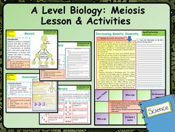 A Level Biology Meiosis Lesson & Activities | Teaching Resources