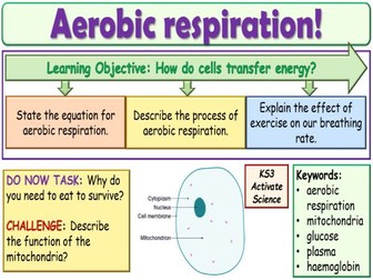 Aerobic Respiration KS3 Activate Science