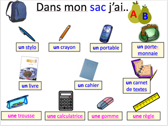 Dans mon sac - expo 1 module 1 - differentiated lesson and worksheet