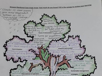 Tropical rainforest Management in the Amazon