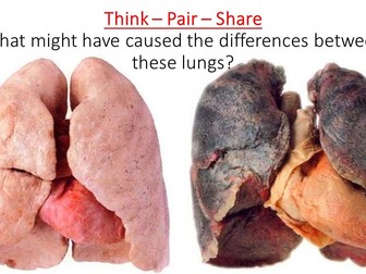 AQA KS3 Breathing bundle