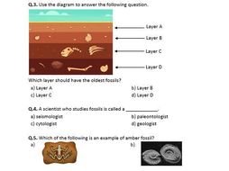 Distance Learning | Fossils - Worksheet | Teaching Resources