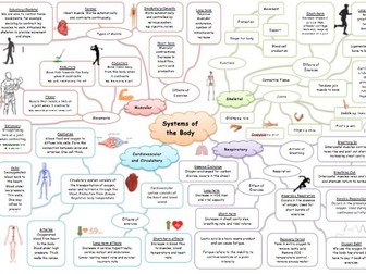 Systems of the Body Revision Mind-map