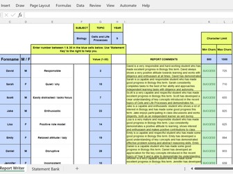 Excel Report Writing Tool