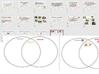 Animal diets lesson and sheet Year 1