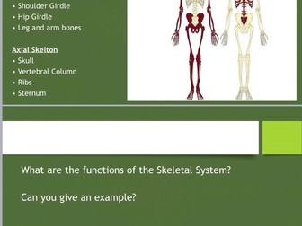 A level PE Edexcel Skeletal and Muscular Systems PowerPoint and Recap Questions