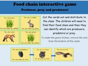 Food chain game - producer, prey and predators