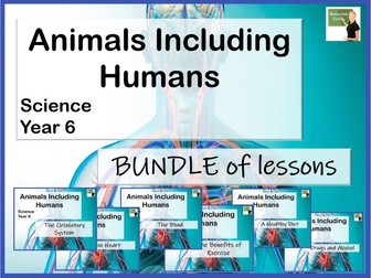 Science- Animals including Humans Year 6 BUNDLE