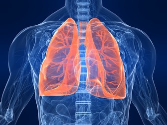 CCEA Life and Health Science Respiratory System + Respiration Resources