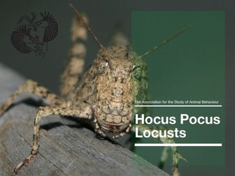 Energy Flow through Tropic Levels - Hocus Pocus Locusts