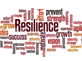 Resilience assembly