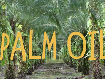 Learn at Chester Zoo - What is Palm Oil?