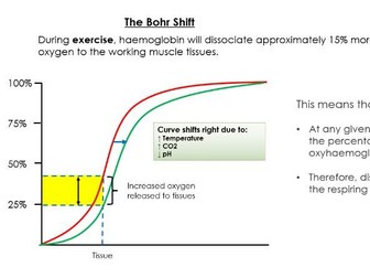 Oxygen Dissociation from Haemoglobin (Bohr Shift) Lesson - A-Level