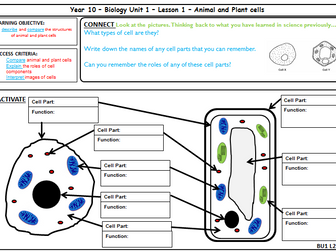 AQA GCSE Biology - Cell Biology - Animal and Plant Cells