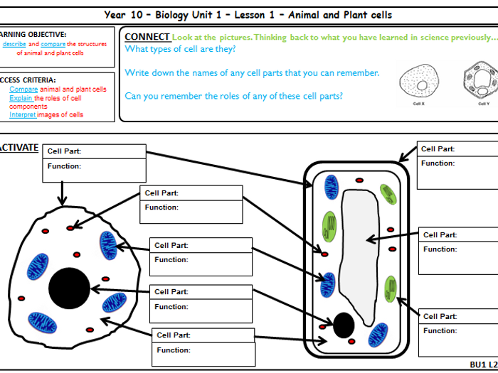 AQA GCSE Biology - Cell Biology - Animal And Plant Cells | Teaching ...