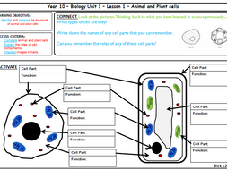 AQA GCSE Biology - Cell Biology - Animal and Plant Cells | Teaching ...