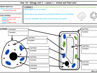 New AQA GCSE Biology - Full Unit 1 Cell Biology SOW - Save £50 on ...