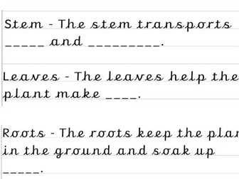 Parts of a Plant Stem Sentences