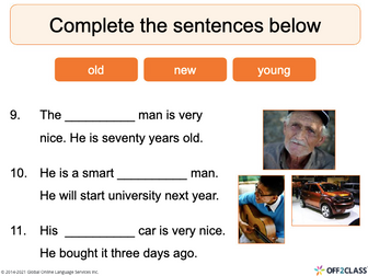 Adjectives: Opposites (Lesson 1 ) -  ESL/ELL Lesson Plan