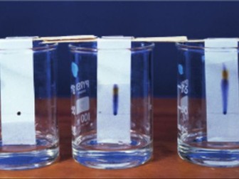 Chromatography Lab Report