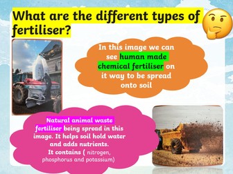 Exploring Plant Requirements for Life and Growth