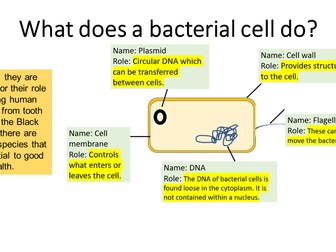 AQA GCSE Combined Science - Eukaryotic and Prokaryotic cells