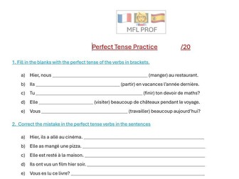 Perfect Tense French Practice Worksheet