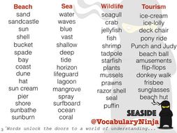 Seaside Topic Vocabulary Pack