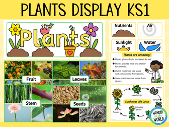 Plants classroom display pack for KS1 science including posters and board title