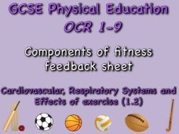 GCSE OCR PE (1.2) Physical Training - Components of fitness feedback sheet