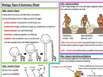 Edexcel Biology CB4 Revision Summary Worksheets
