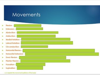 Skeletal System and Joints - A-Level Lesson and Worksheets