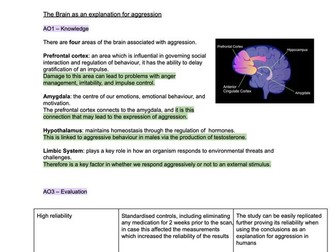 PSYCHOLOGY Biological Psychology Overview (EDEXCEL)