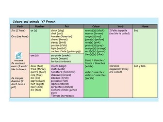 Colours and animals Y7 French 2 lessons