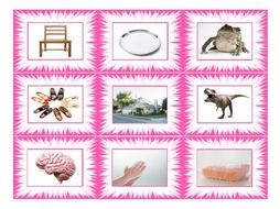 Phonics Vowel Teams ai-ay-oa-oe-ou-au Photo Card Game