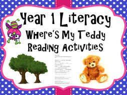 Year 1 Literacy - 'Where's my teddy' Reading activities