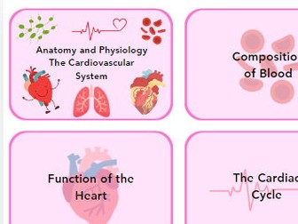 OCR Health and Social Care - Unit 4 Anatomy and Physiology LO1-  Revision Cards